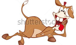 毛驴漫画,趣味横生的动物世界